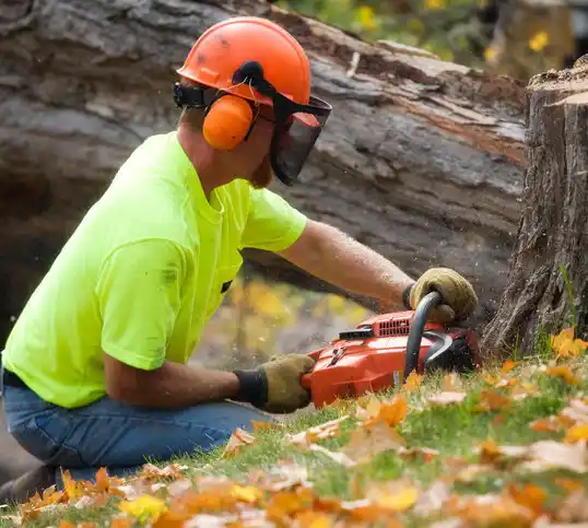 tree services Southmont